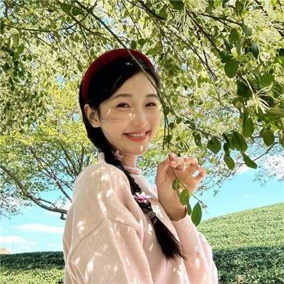 战地飘零燕