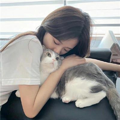 狗眼看人心
